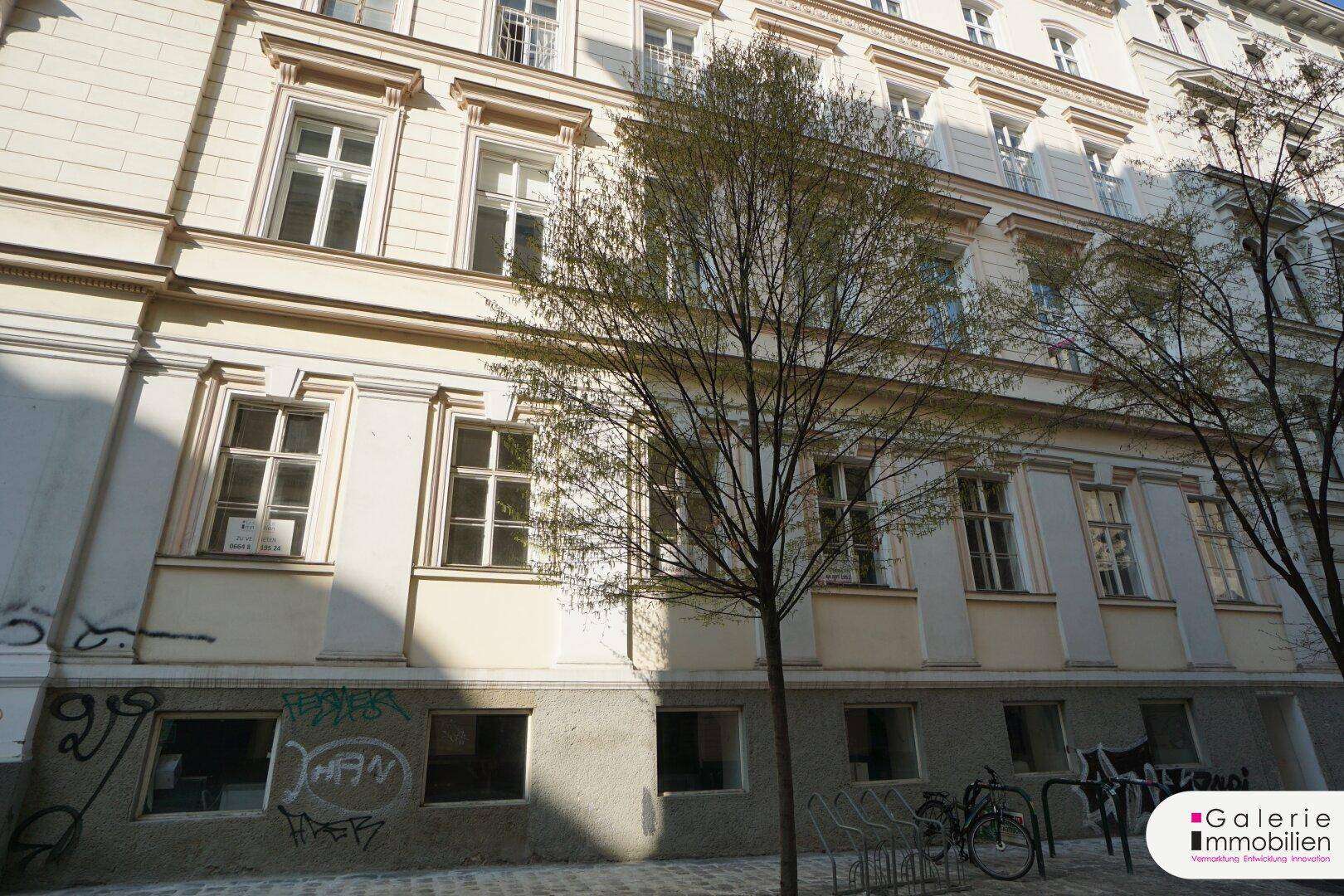 Historische Fassade eines Altbaus mit vielen Fenstern und einem Baum davor.