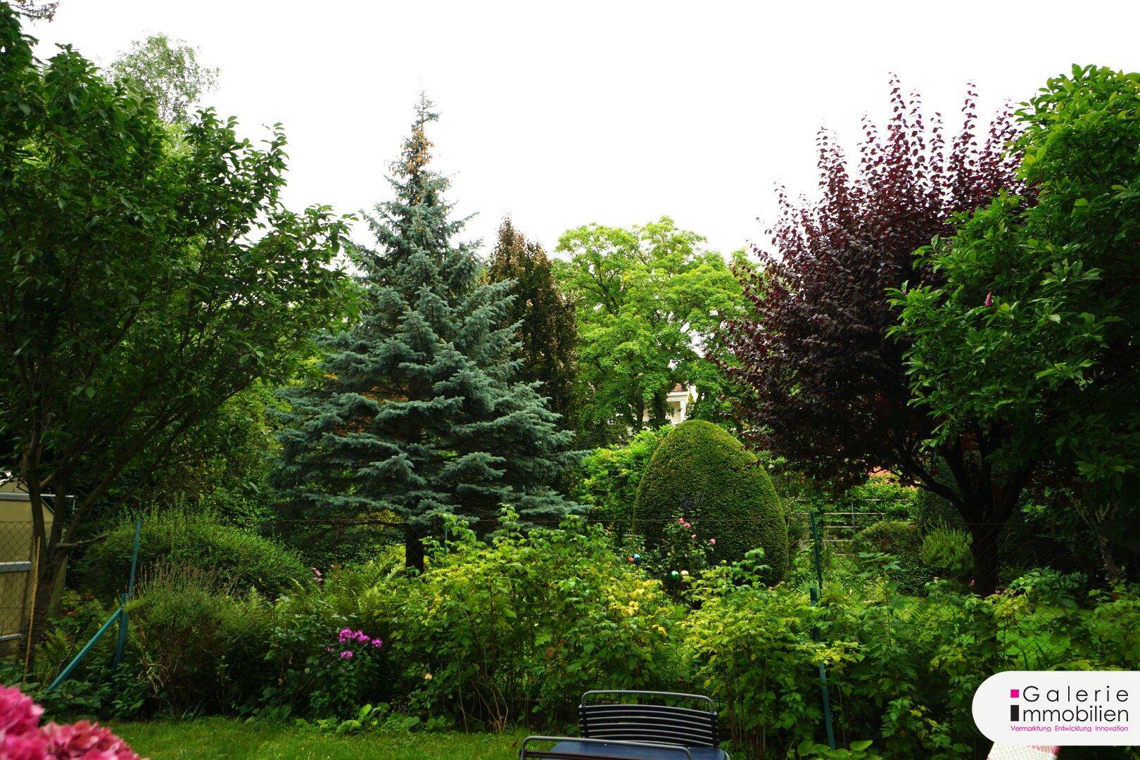 Hintergarten