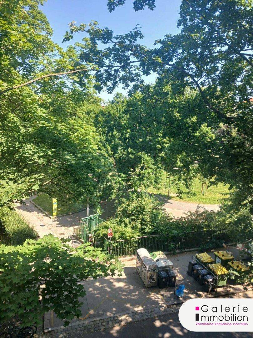 Blick ins Grüne von der Wohnung aus, mit Bäumen und einem kleinen Weg.