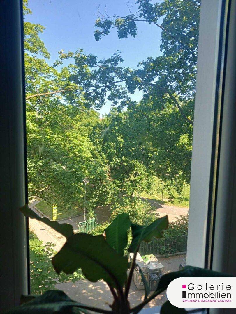 Blick aus dem Fenster ins Grüne mit üppigen Bäumen und einem sonnigen Weg.