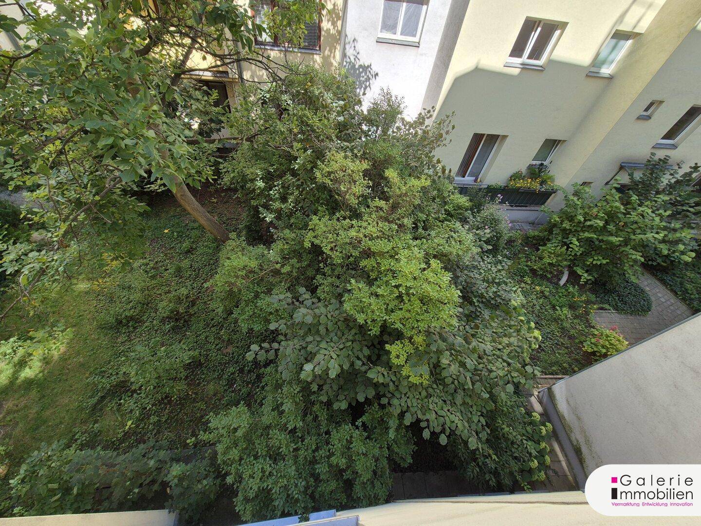 Blick in den Garten