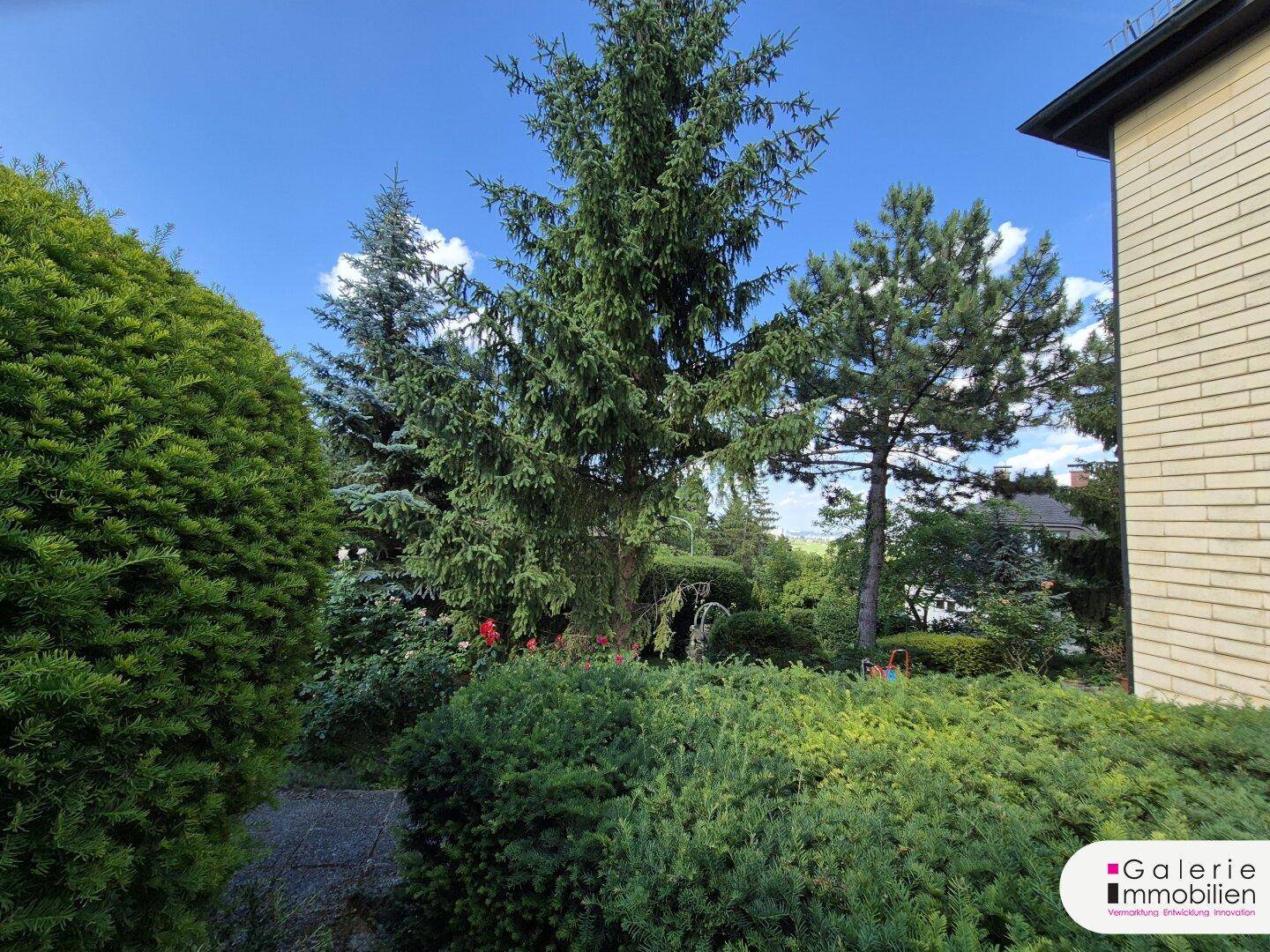 Gepflegter Gartenbereich mit verschiedenen Nadelbäumen und Sträuchern unter blauem Himmel.