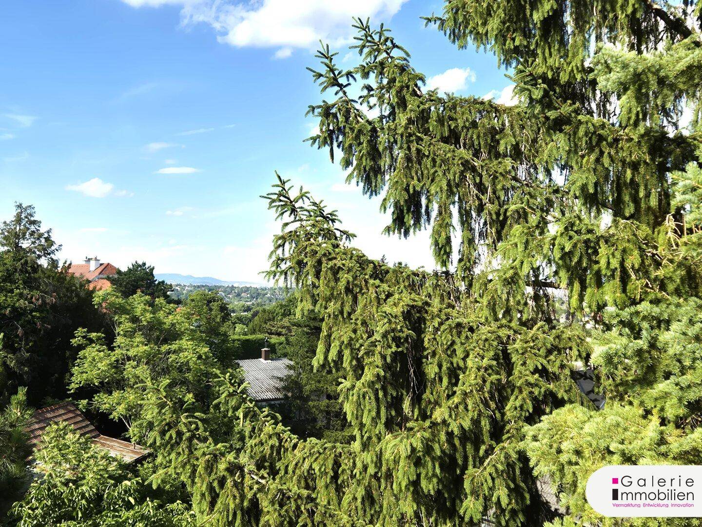 Panoramablick über die grüne Landschaft und die Dächer der Häuser, umgeben von hohen Bäumen.