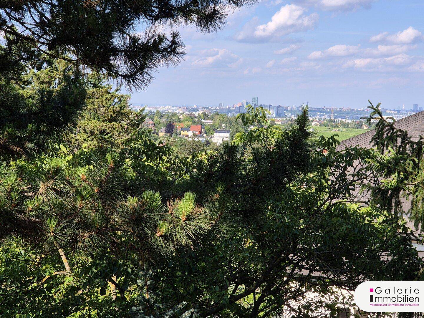 Weitläufiger Blick über die Stadt und die umliegende Landschaft, umrahmt von grünen Bäumen.
