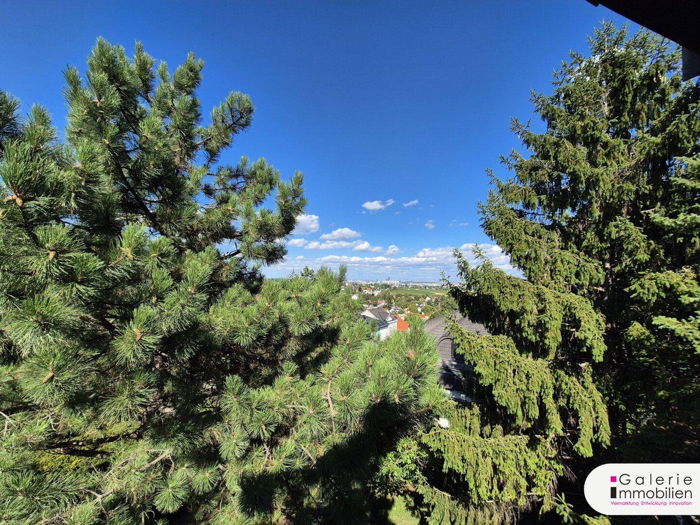 Weitblick über die Stadt und grüne Baumwipfel unter blauem Himmel.