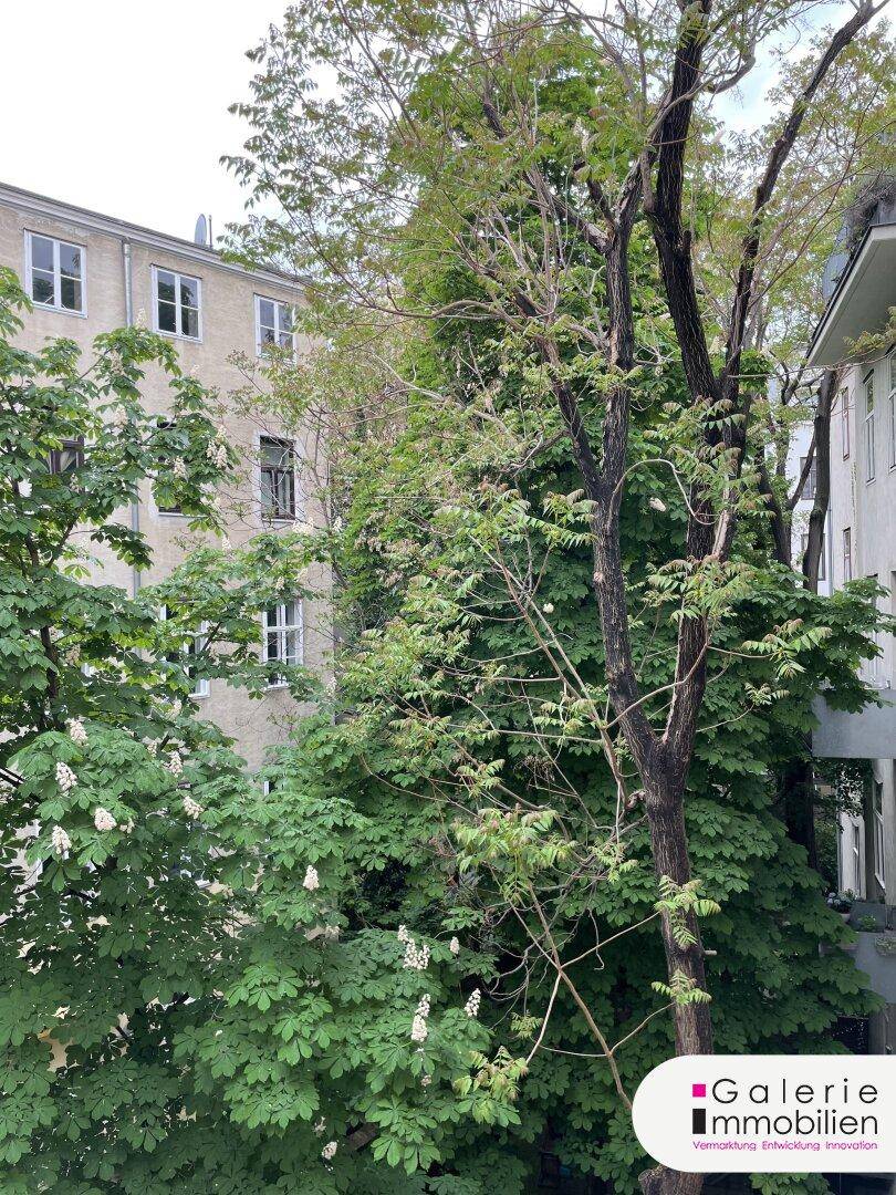 Blick auf grüne Bäume und die Fassade eines angrenzenden Gebäudes an einem bewölkten Tag.