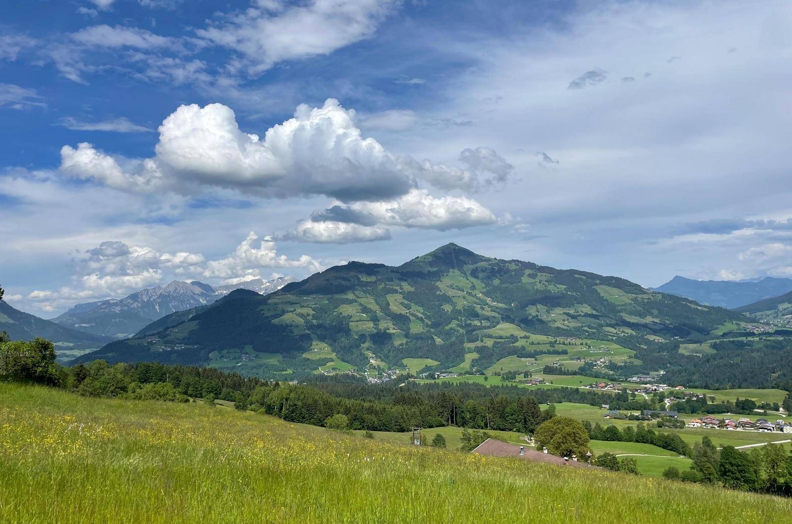 Penningberg_Grundstück_Altbestand_Mittermoosenweg_Hopfgarten_Ausblick_Berge