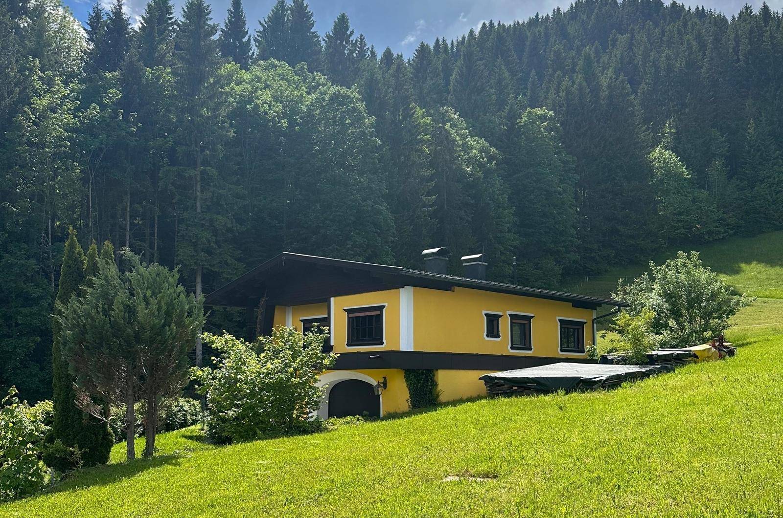 Penningberg_Grundstück_Altbestand_Mittermoosenweg_Hopfgarten_Außenansicht_Haus_Natur_Freiflächen