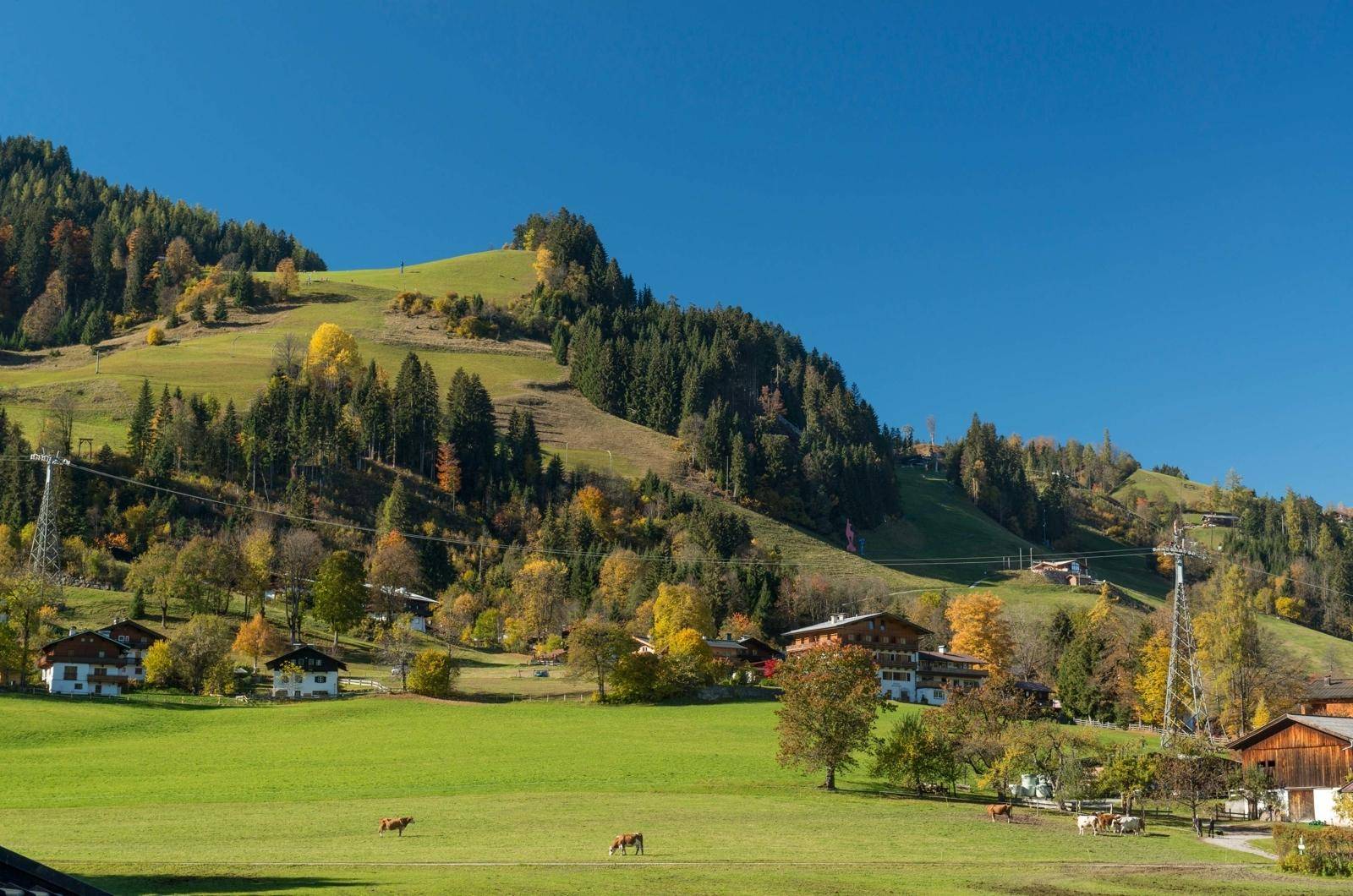 Malerische Alpenlandschaft mit grünen Hügeln, Wäldern und traditionellen Häusern unter blauem Himmel.