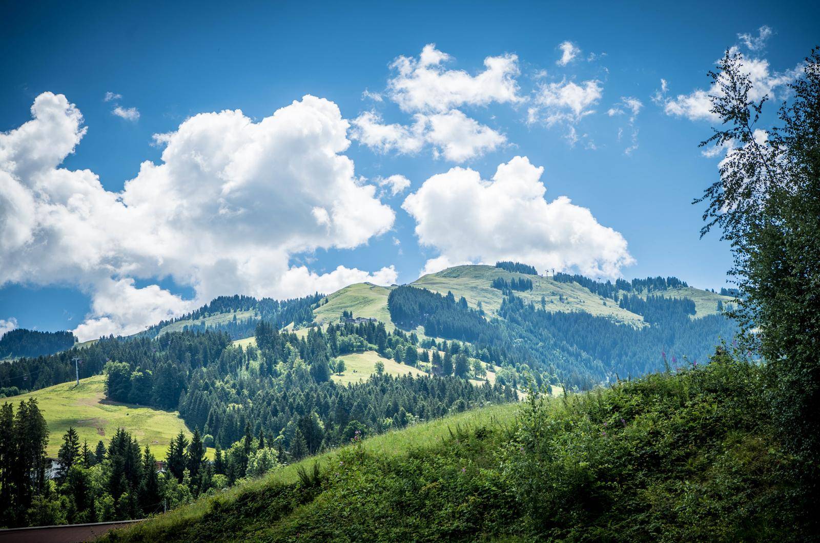 _FMP8857 Kopie