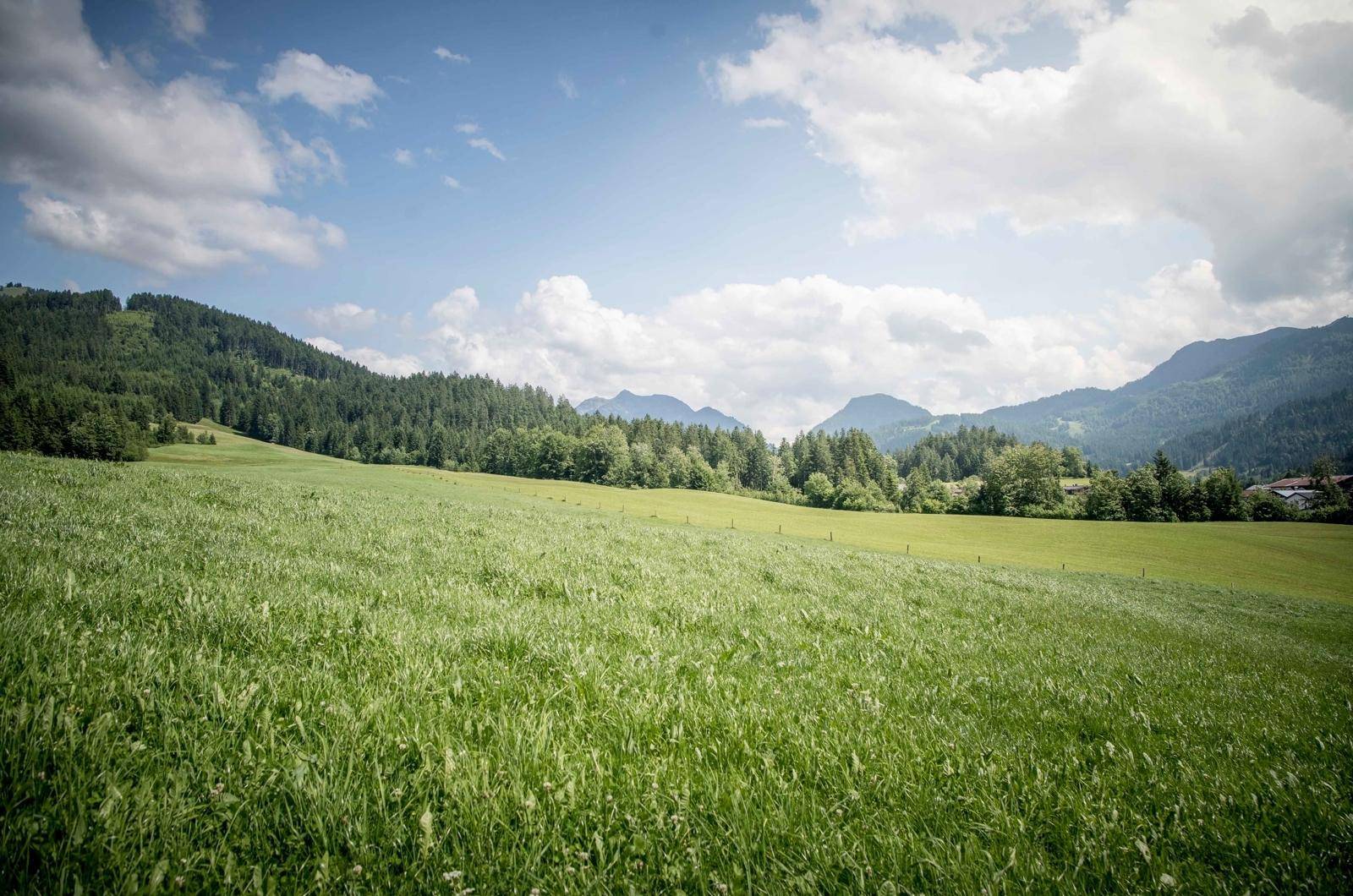 _FMP7219 Kopie