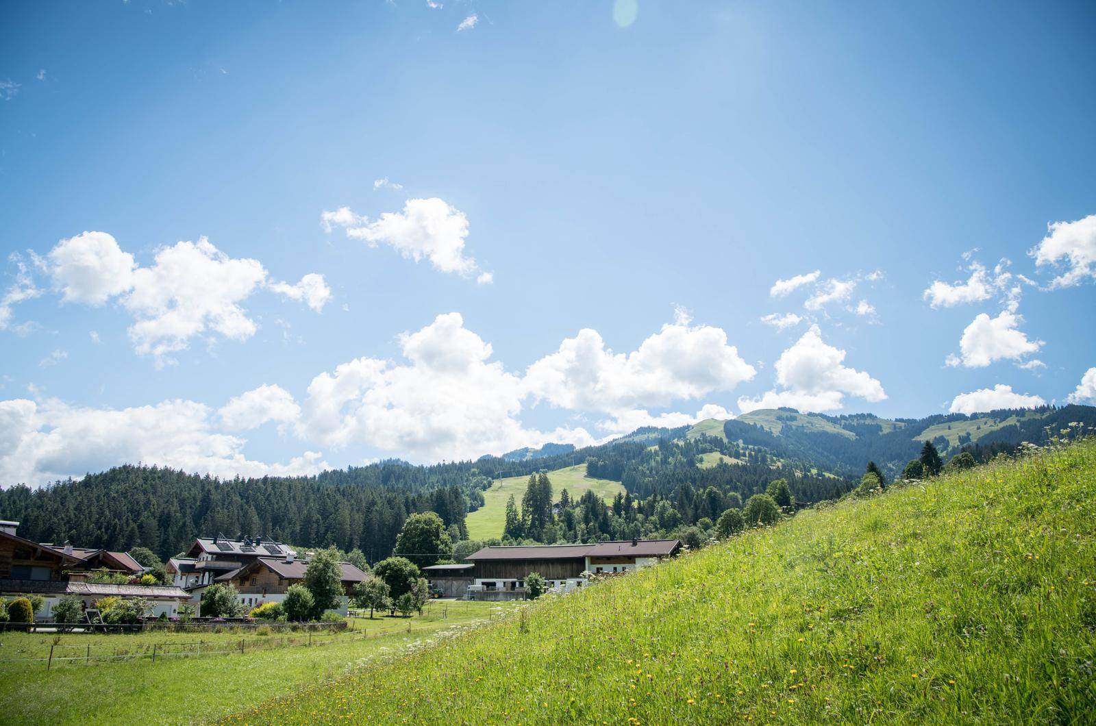 _FMP8842 Kopie