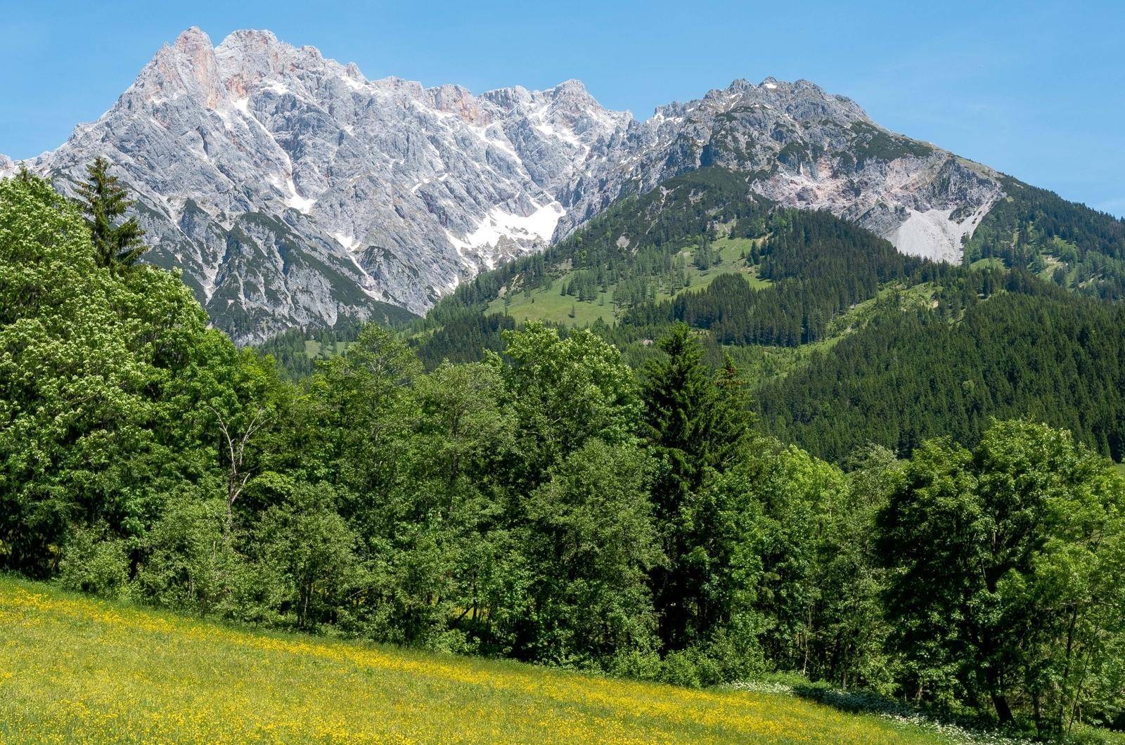 Alpenidylle_Hinterthal_Grundstück_Alpen