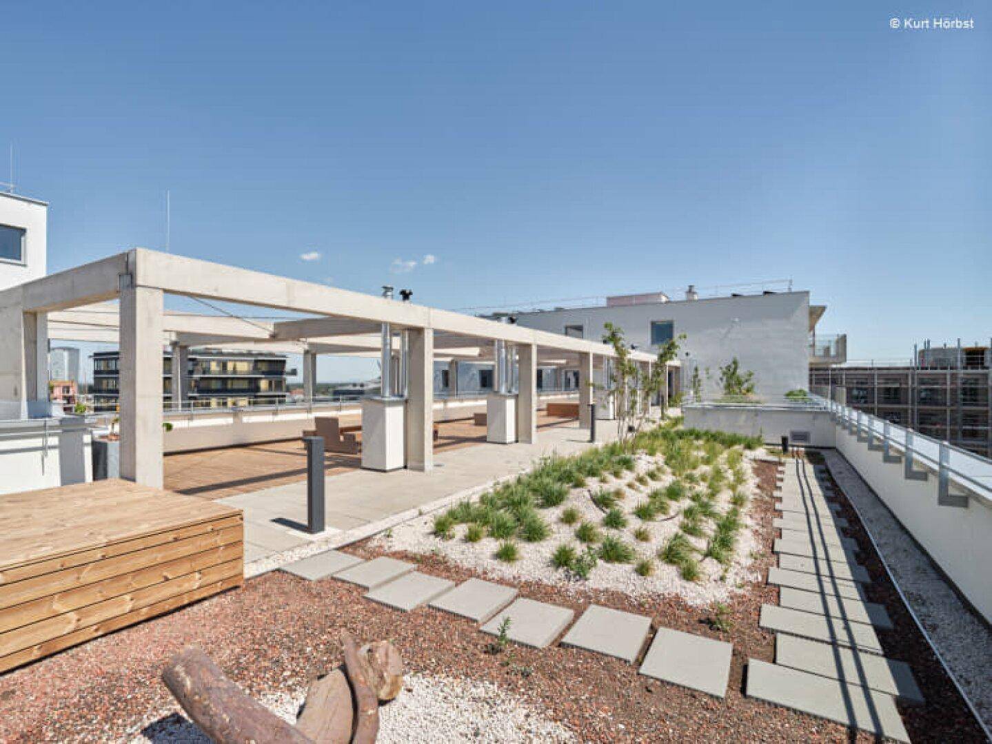 Grüne Dachterrasse mit Kieswegen, Pflanzenbeeten und einer modernen Pergola-Struktur.