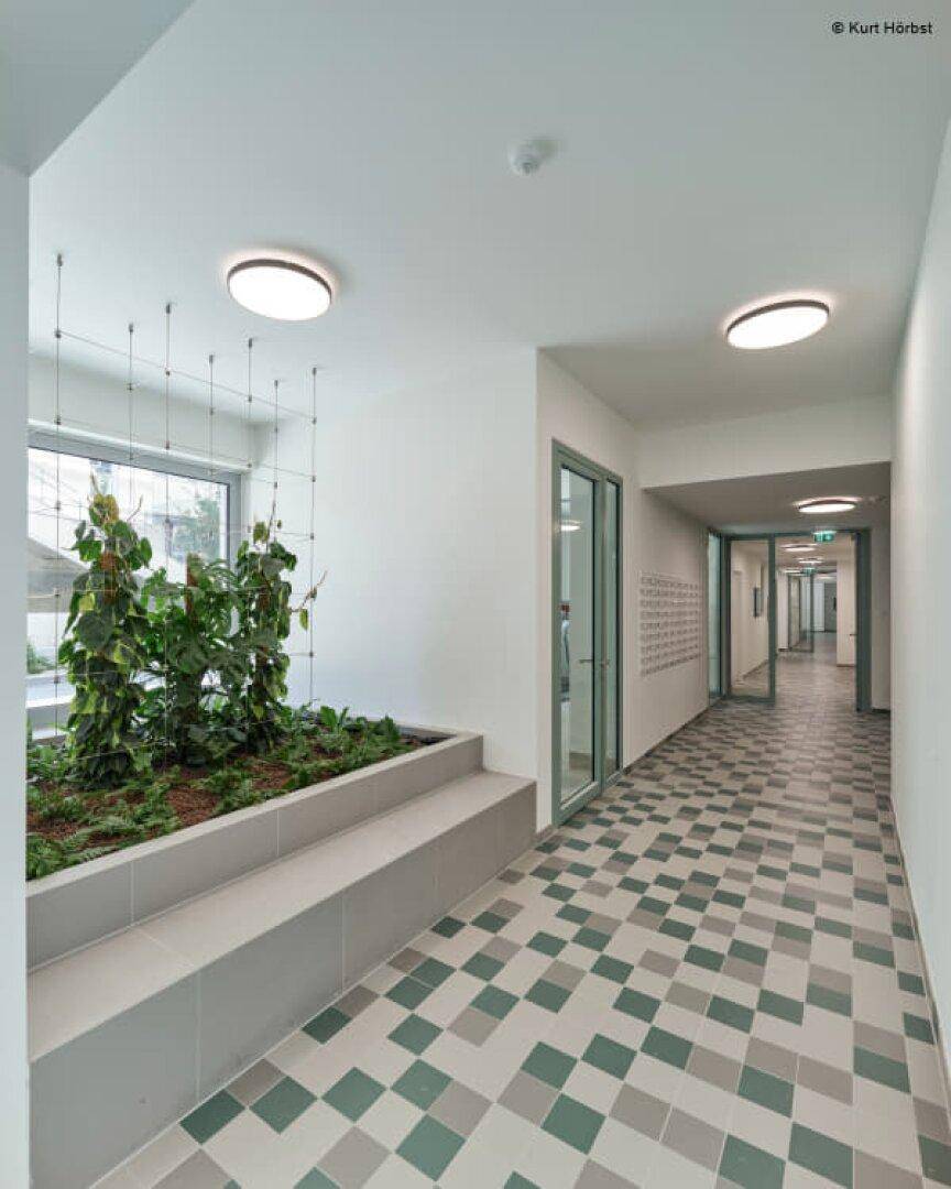 Moderner Flur mit gemustertem Fliesenboden und einer integrierten Pflanzeninstallation.