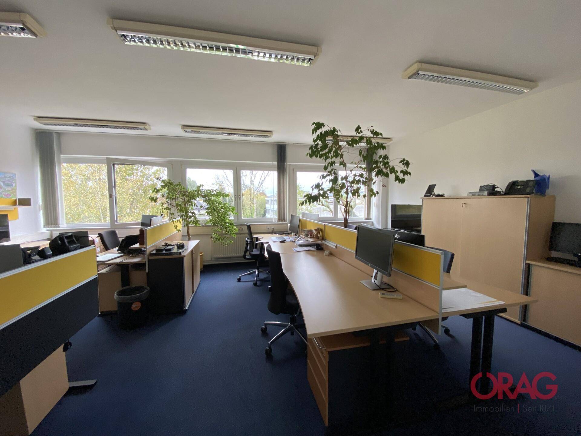 Helles und funktionales Büro mit mehreren Schreibtischen, Trennwänden und Blick ins Grüne durch große Fenster.