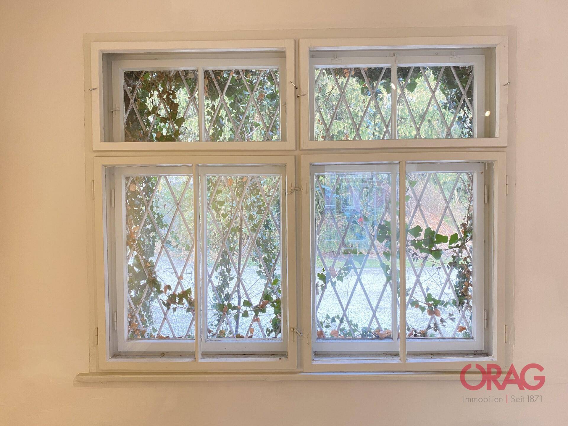Fenster mit dekorativen Gittern und Efeu, das von außen emporrankt und eine grüne Aussicht bietet.