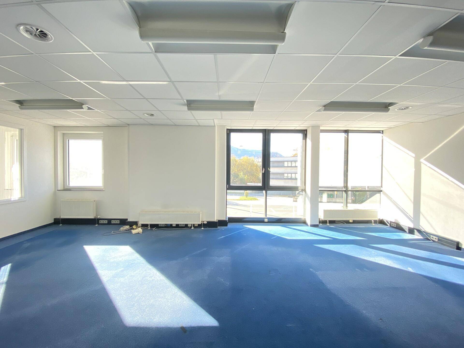 Geräumiges Büro mit blauer Teppichboden und großen Fenstern, die viel Tageslicht hereinlassen.