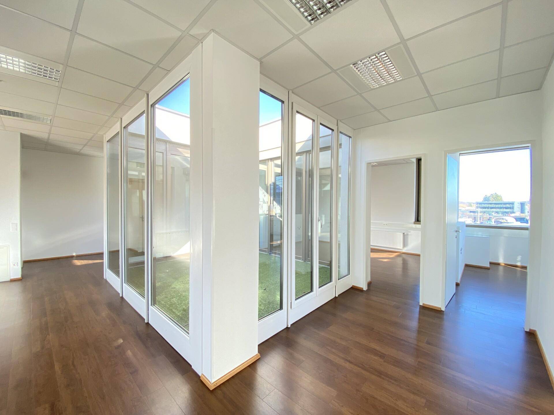Offener Bürobereich mit Holzboden und Glaswänden, die einen Blick in ein begrüntes Atrium ermöglichen.