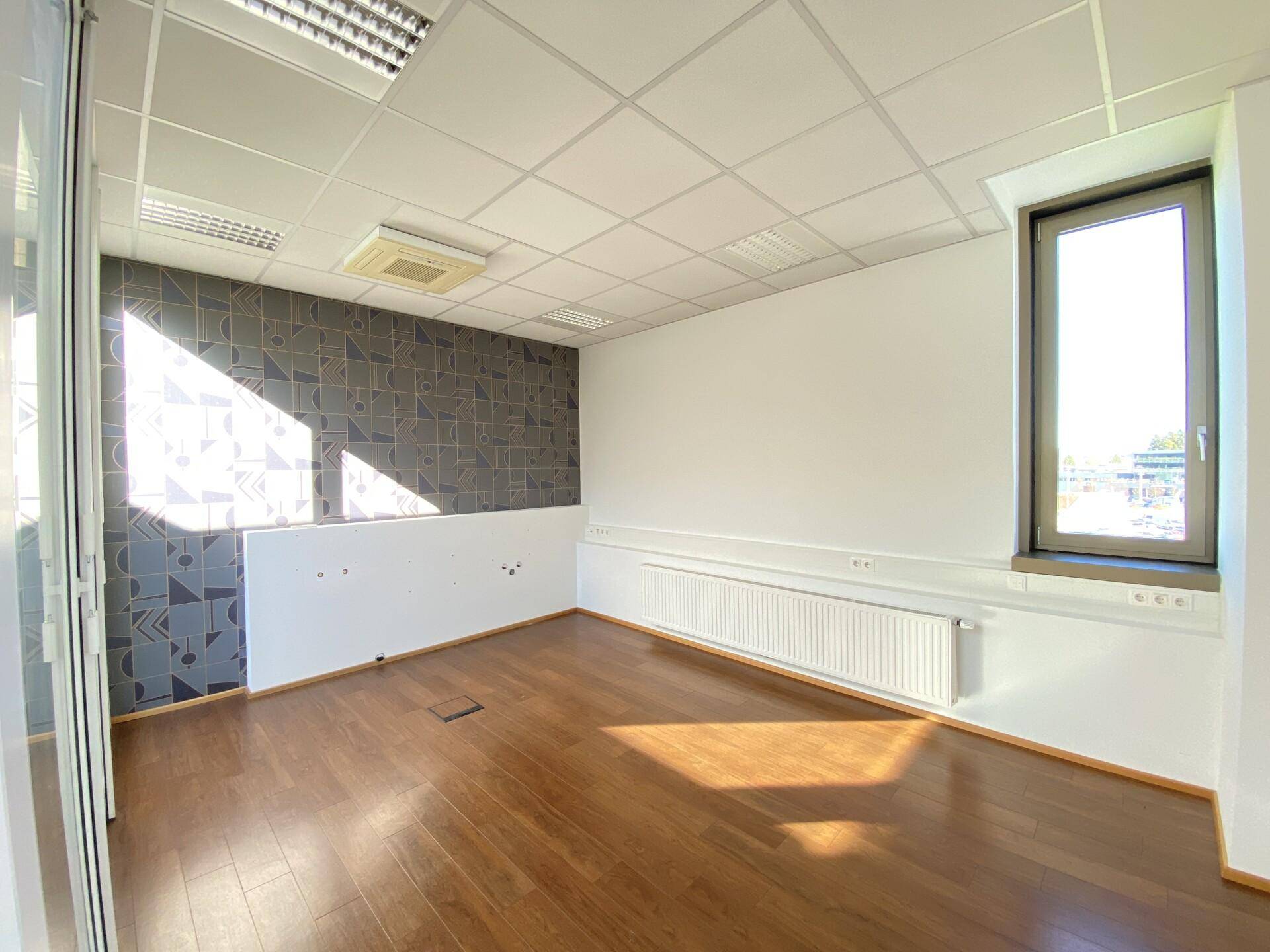 Leeres Büro mit Holzboden, einer gemusterten Akzentwand und einem hohen Fenster.