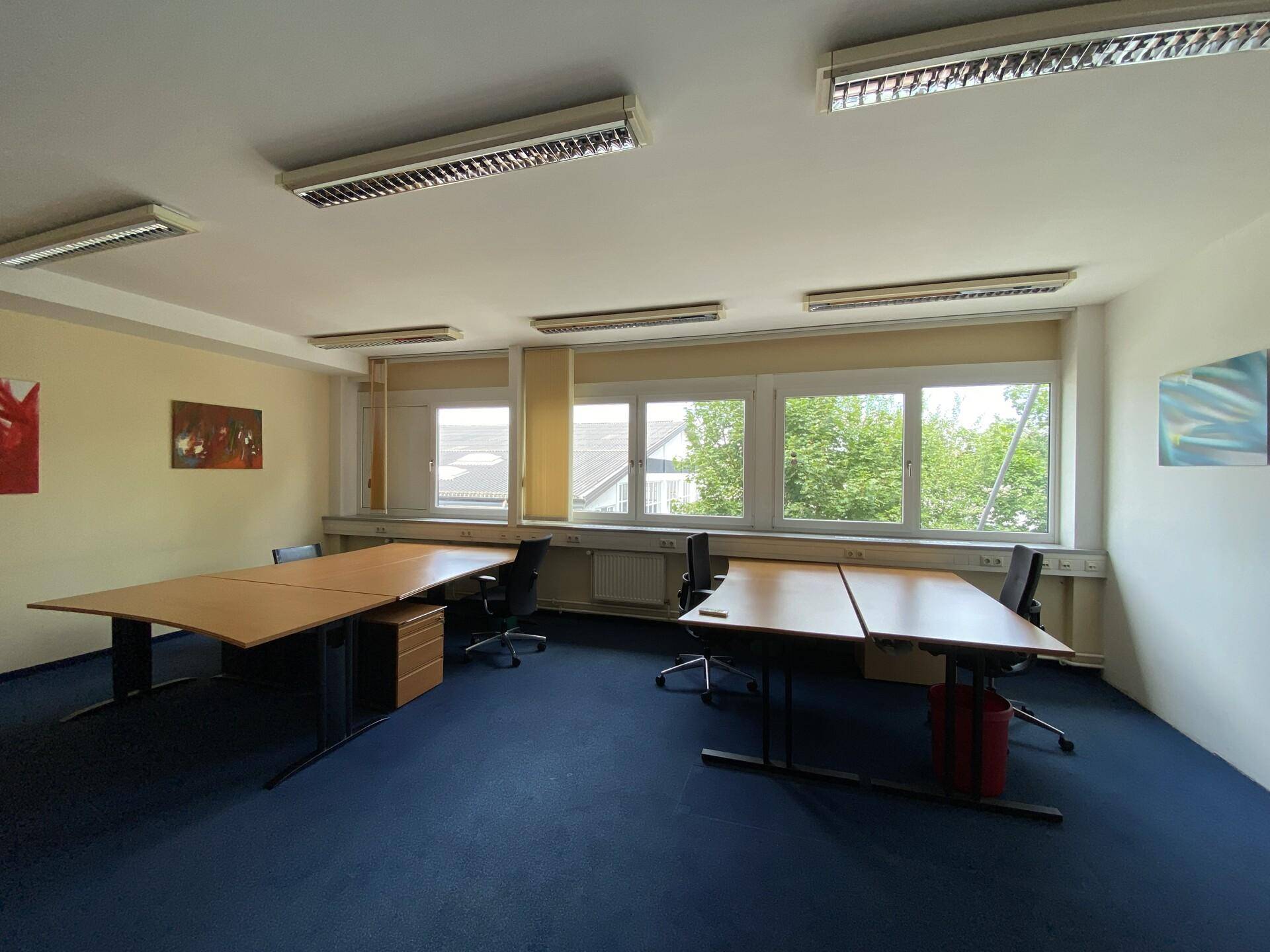 Helles Büro mit blauer Teppichboden, mehreren Arbeitsplätzen und Fenstern mit Blick ins Grüne.