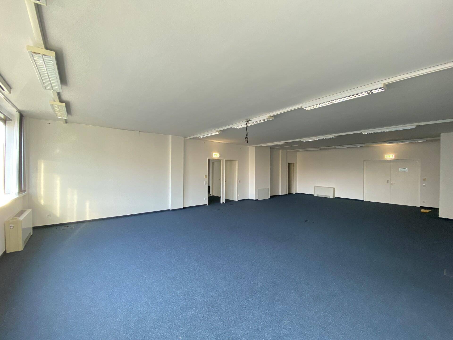 Geräumiges Büro mit blauem Teppichboden, mehreren Türen und guter natürlicher Beleuchtung.