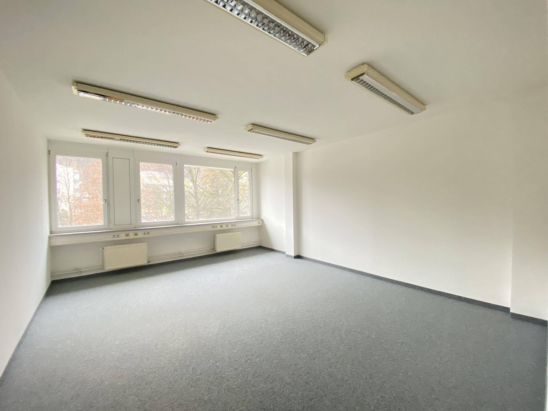 Helles Büro mit Teppichboden und mehreren Fenstern, die eine angenehme Arbeitsatmosphäre schaffen.