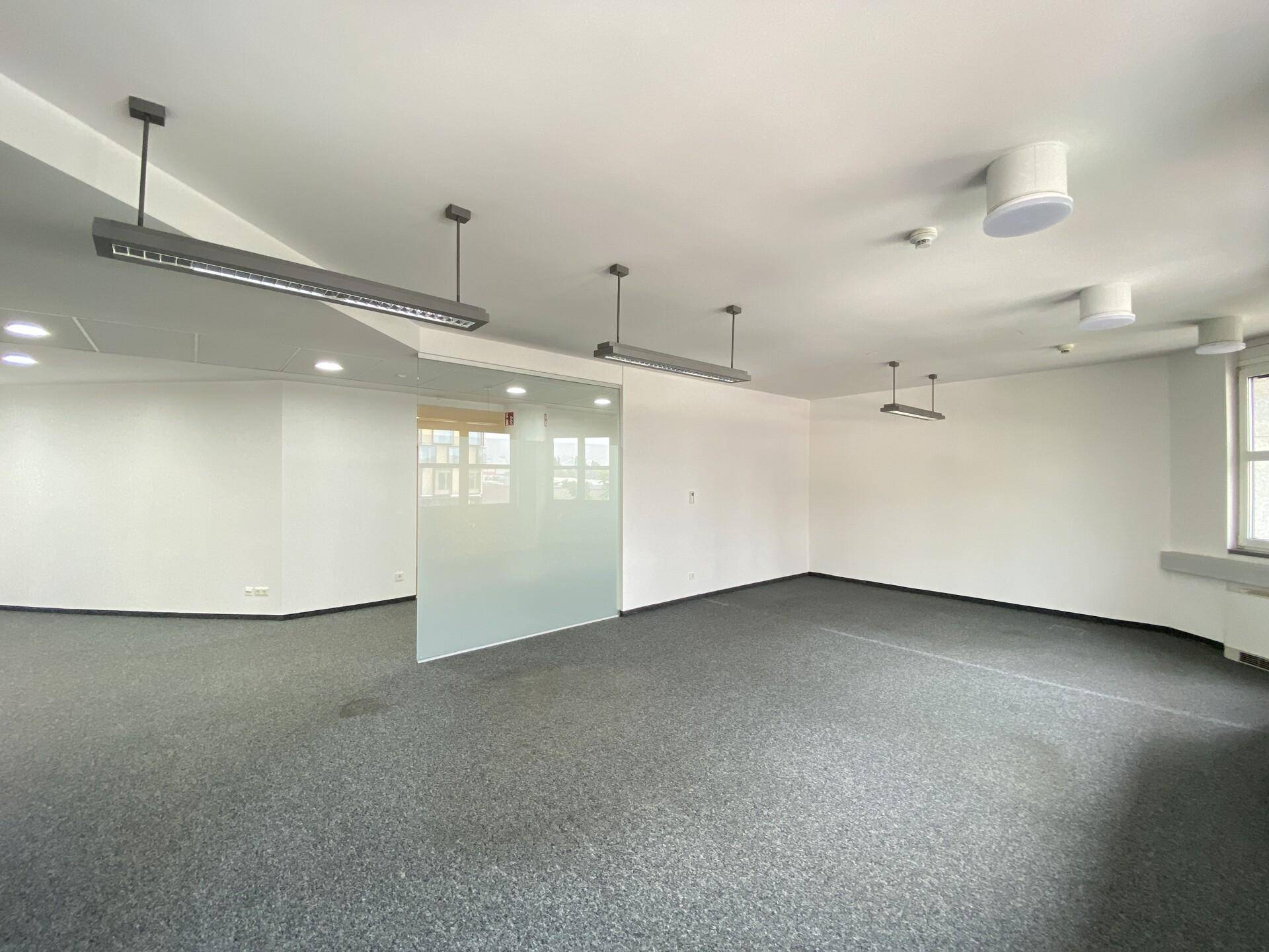 Modernes Büro mit grauem Teppichboden und einer eleganten Glaswand als Raumteiler.