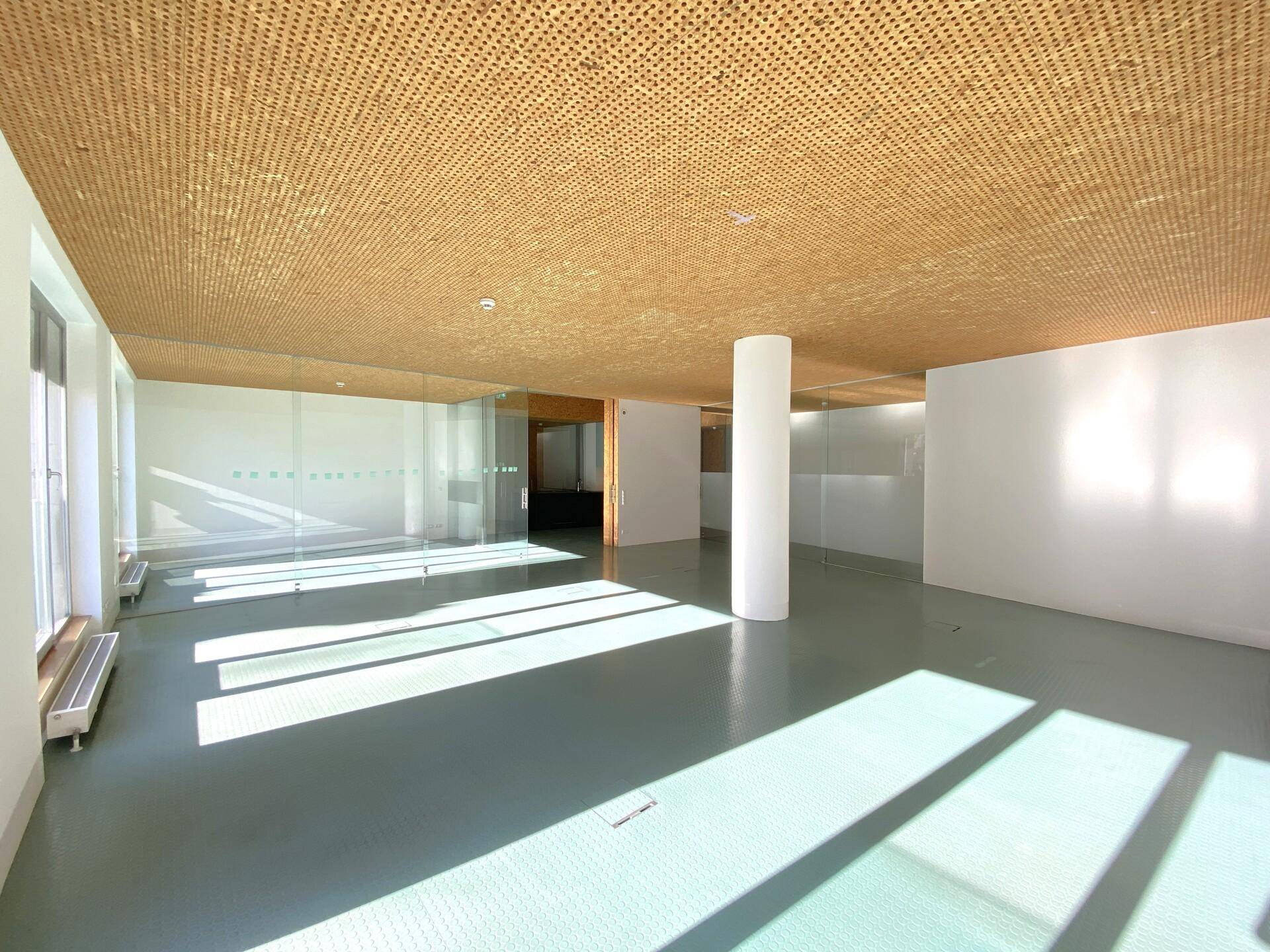 Moderner Büroraum mit Glaswänden, perforierter Holzdecke und viel Tageslicht.