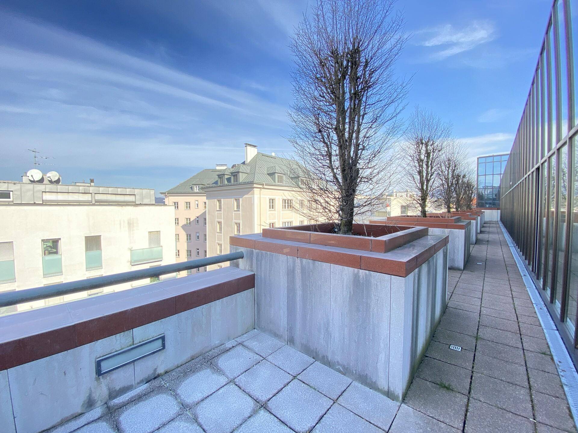 Dachterrasse mit großen Pflanzkübeln und Fliesenboden, bietet einen weiten Blick über die Stadt und viel Grün.
