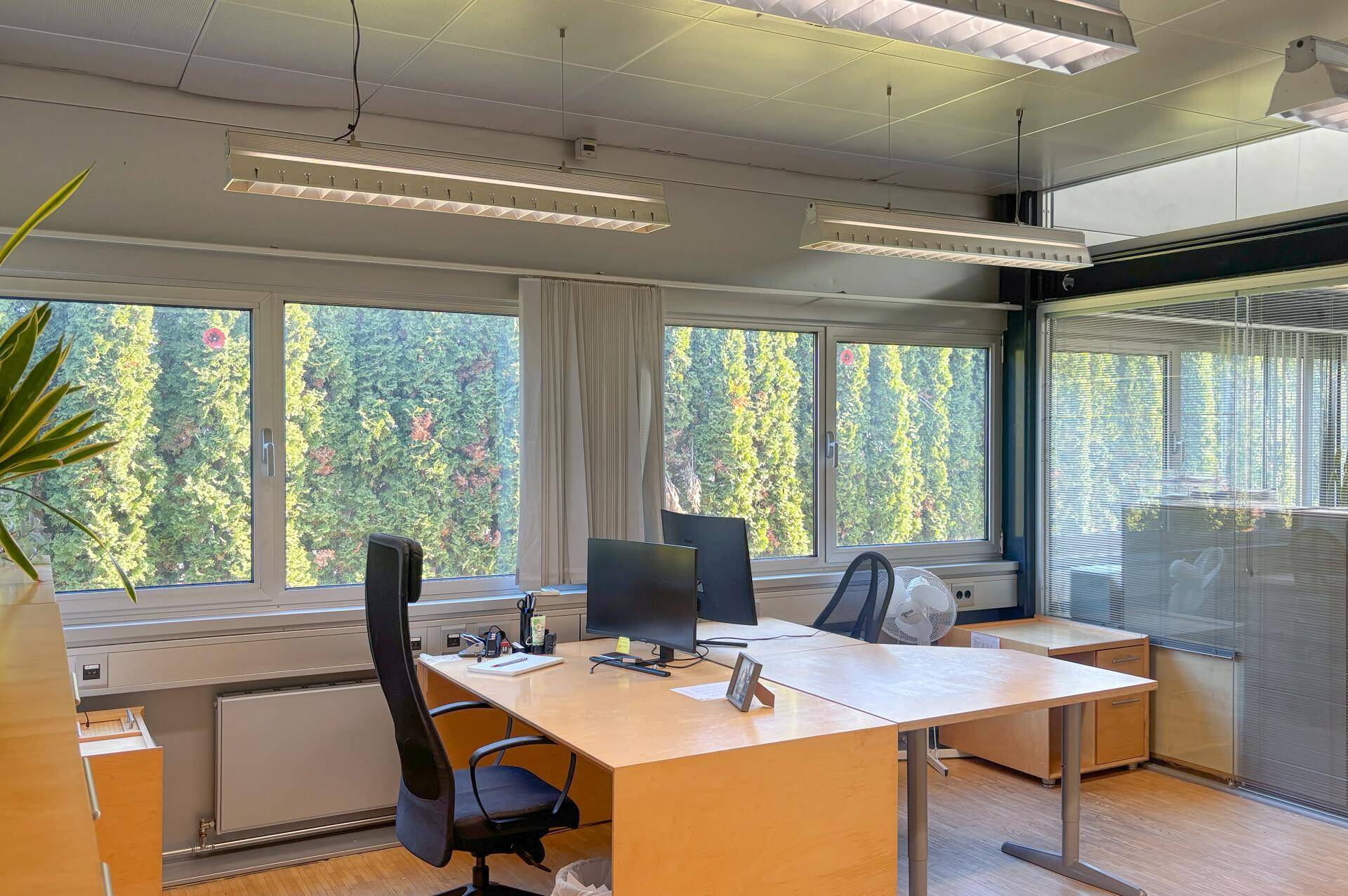 Helles Einzelbüro mit Schreibtisch, Bürostuhl und Fenstern mit Blick ins Grüne und viel Tageslicht.