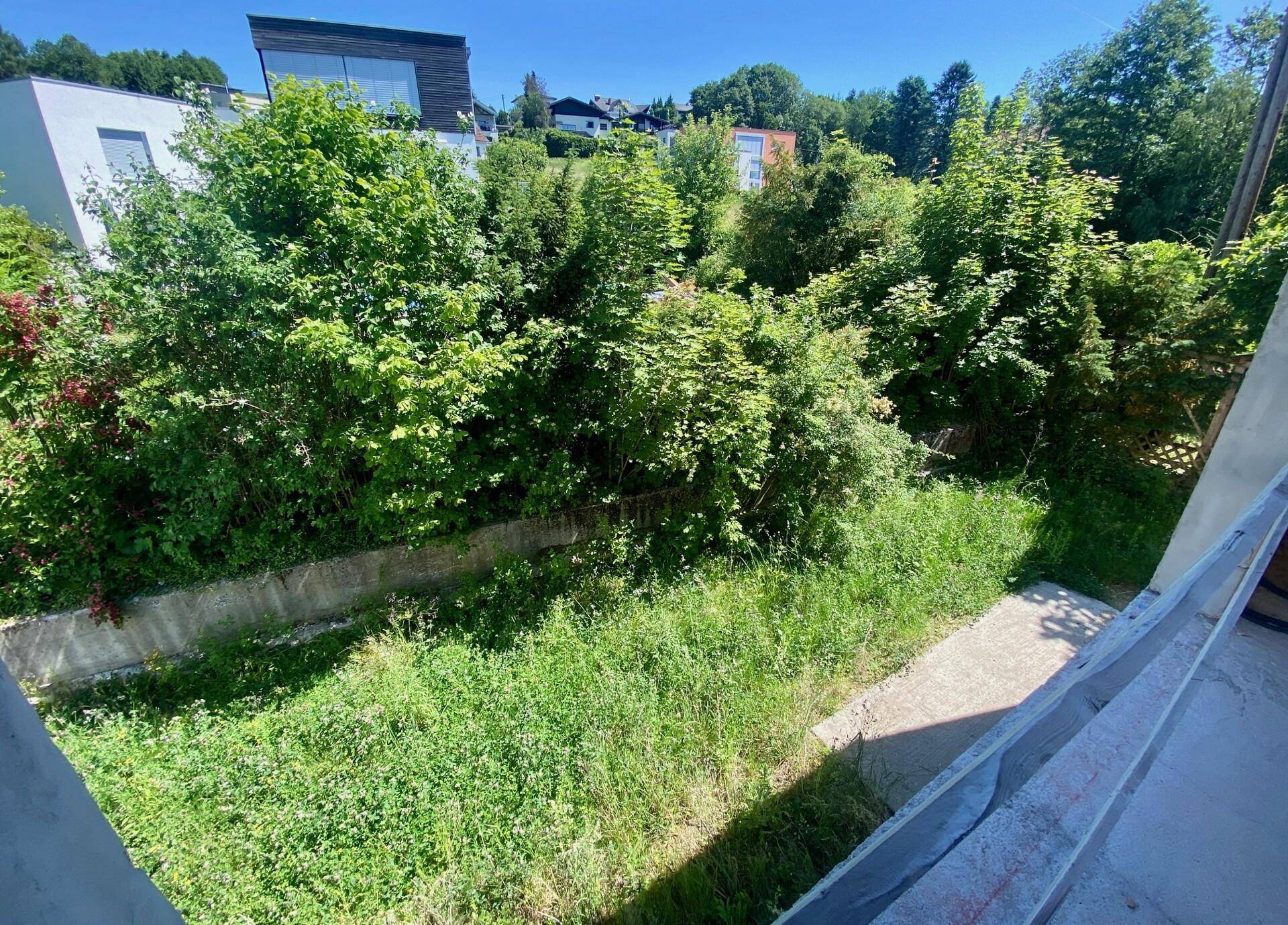 Blick auf eine grüne, bewachsene Fläche, möglicherweise ein Graben oder eine natürliche Grenze.