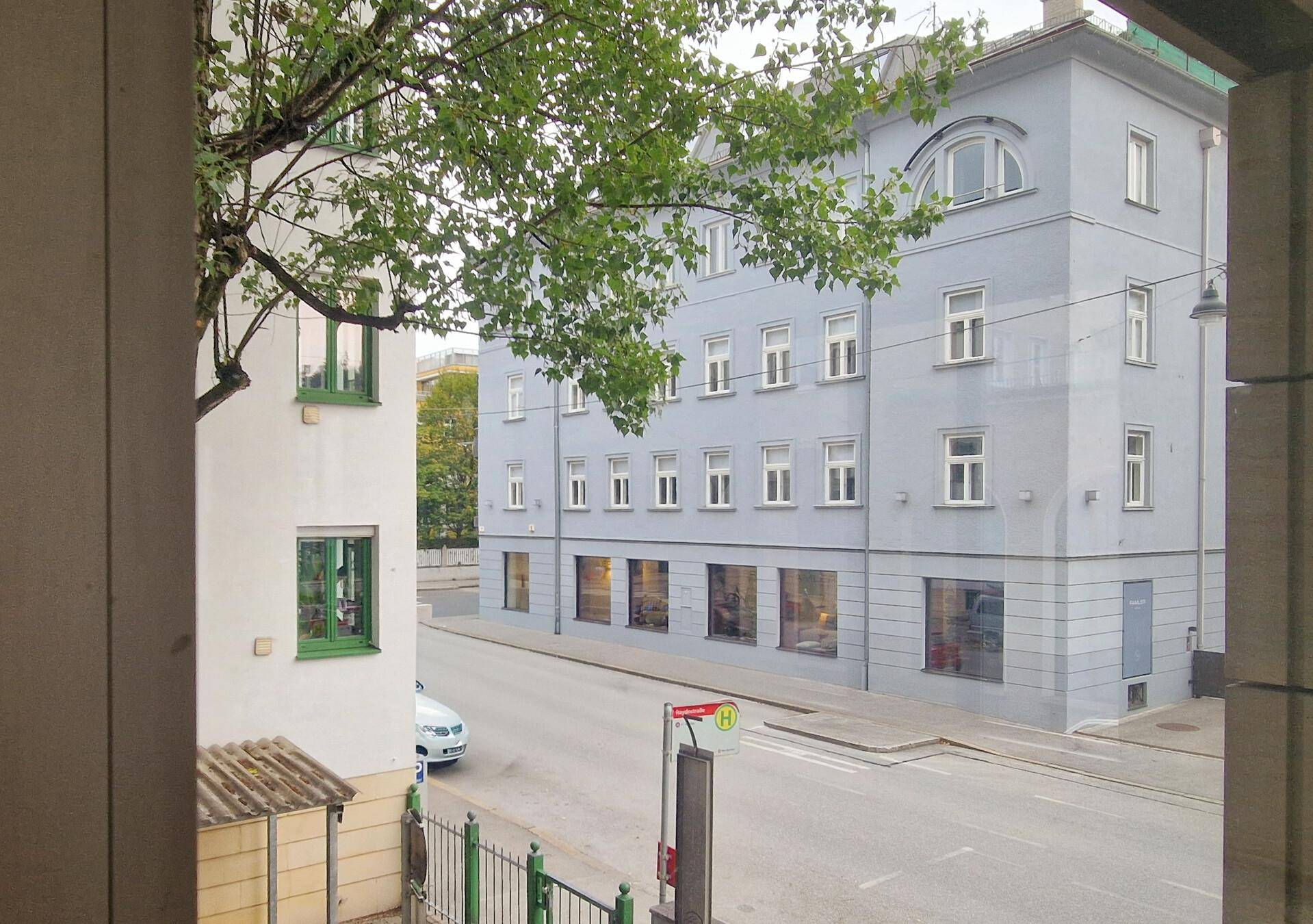 Blick aus dem Fenster auf eine städtische Straße mit Gebäuden und einem Baum.