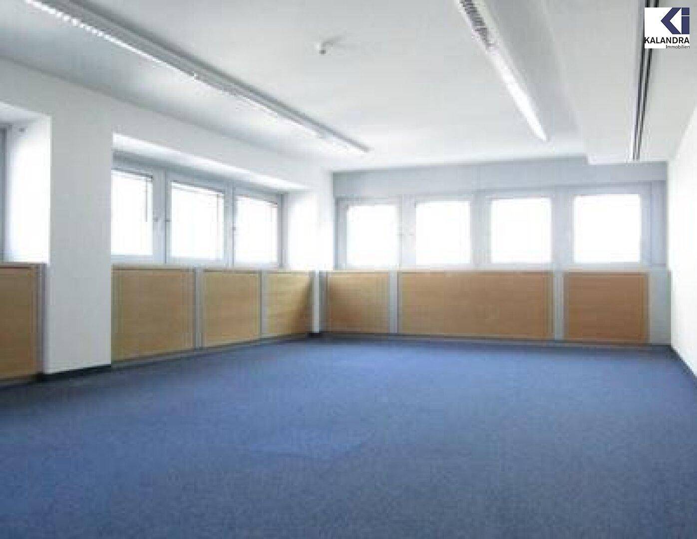 Geräumiges Büro mit blauem Teppichboden und einer Reihe von Fenstern, die viel Tageslicht hereinlassen.