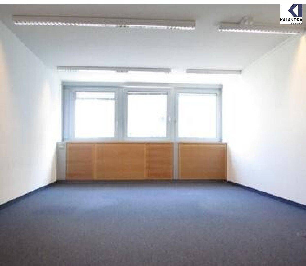 Helles, leeres Büro mit blauem Teppichboden, weißen Wänden und einer Fensterfront.