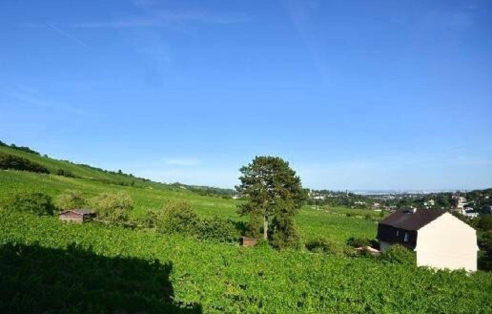 Terrassenblick