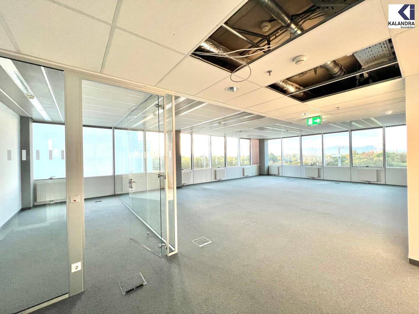 Leeres Büro mit Teppichboden und großen Fenstern, die viel Licht hereinlassen, einige Deckenplatten fehlen.