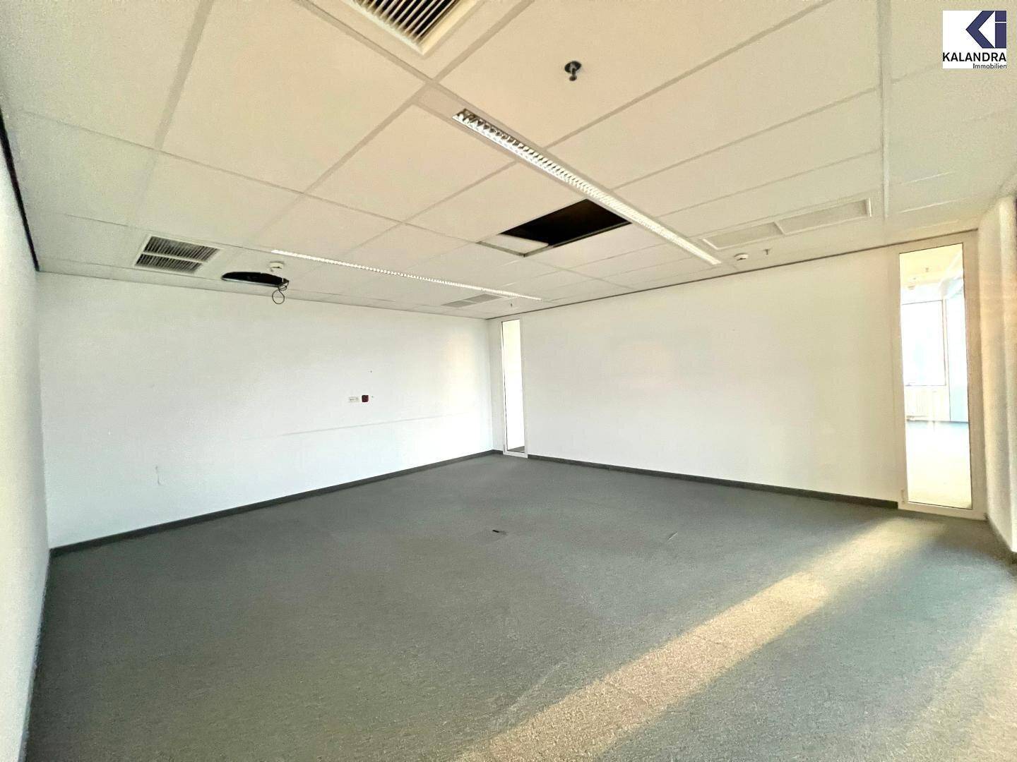Leeres Büro mit Teppichboden und weißen Wänden, einige Deckenplatten fehlen, was auf Renovierungsbedarf hindeutet.