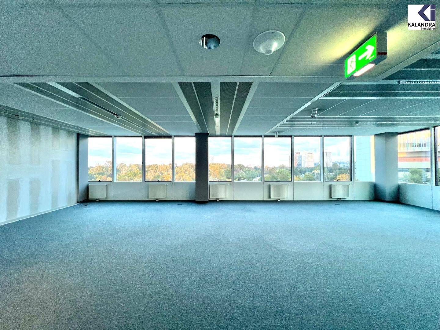 Leeres Büro mit Teppichboden und großen Fenstern, die viel Licht hereinlassen, einige Deckenplatten fehlen.