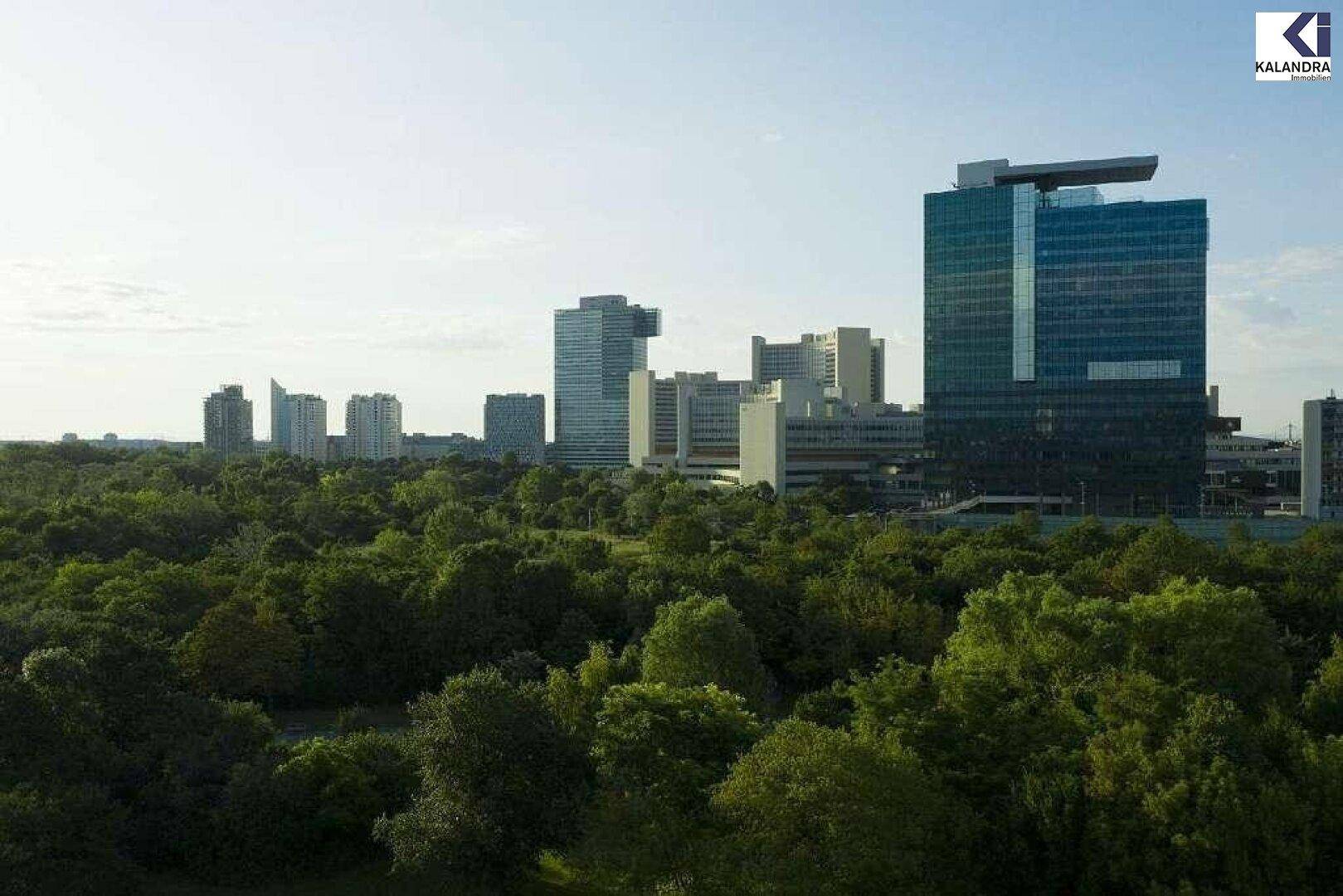 Panoramablick auf die moderne Stadtlandschaft mit Hochhäusern und einem weitläufigen grünen Park im Vordergrund.