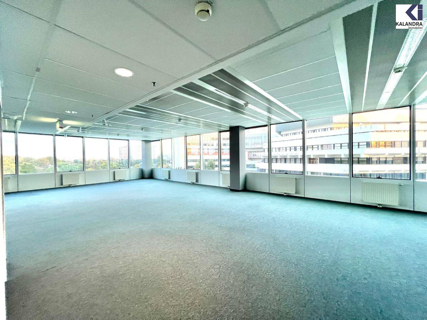 Geräumiges, leeres Büro mit Teppichboden und großen Fenstern, die viel Tageslicht hereinlassen.