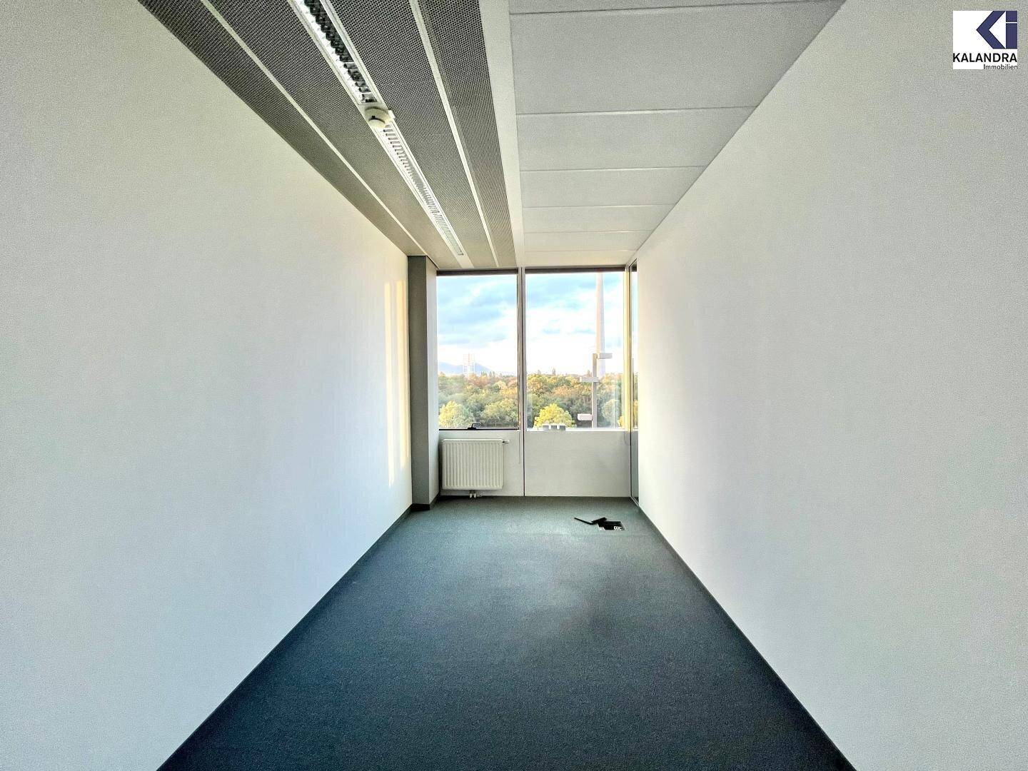 Leeres Büro mit Teppichboden, weißen Wänden und einem Fenster mit Blick auf die grüne Umgebung.