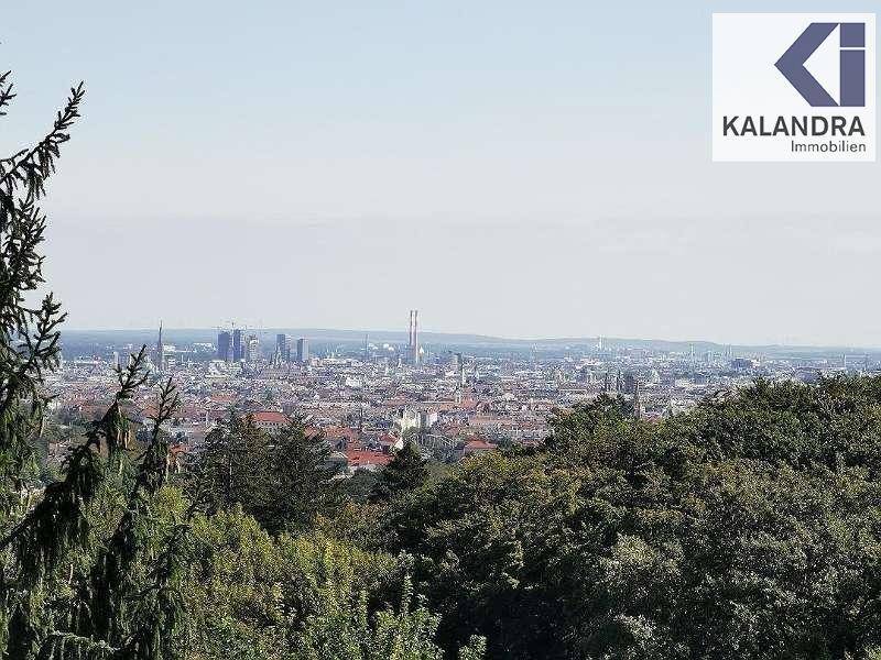 Blick 1