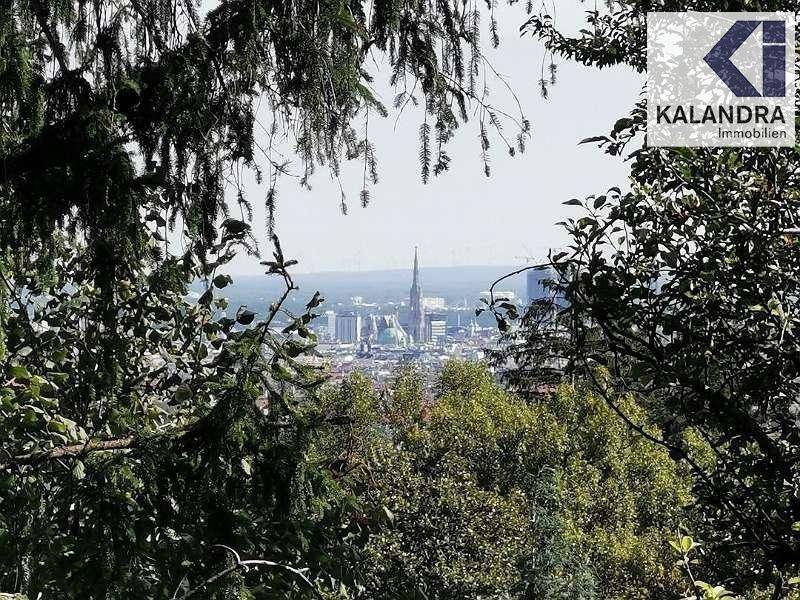 Blick 3