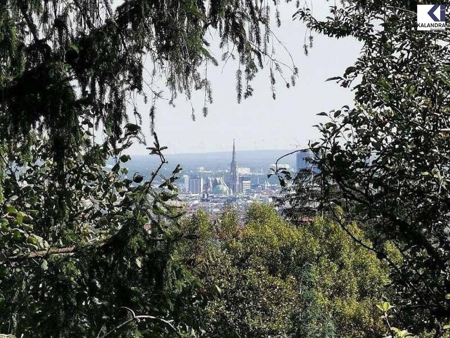 Panoramablick auf die Stadt durch die Baumwipfel, mit markanten Gebäuden am Horizont.
