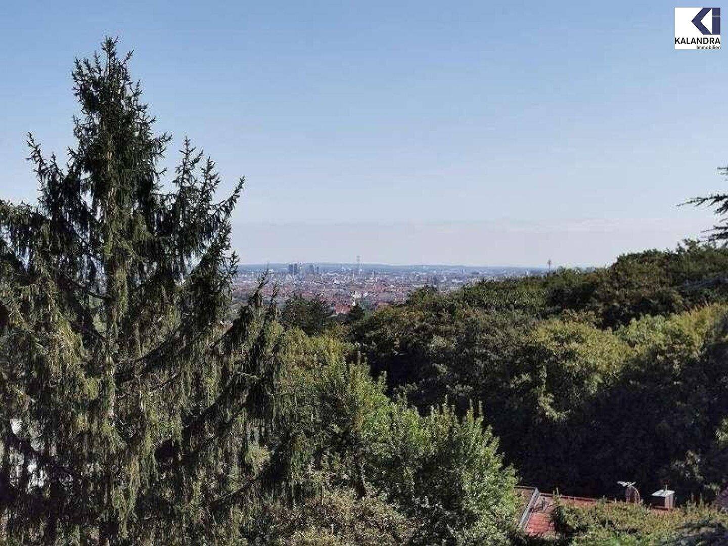 Weitläufiger Blick über die Stadt und grüne Baumwipfel unter blauem Himmel.