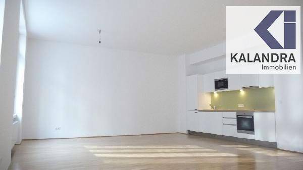 Wohnzimmer mit offener Küche