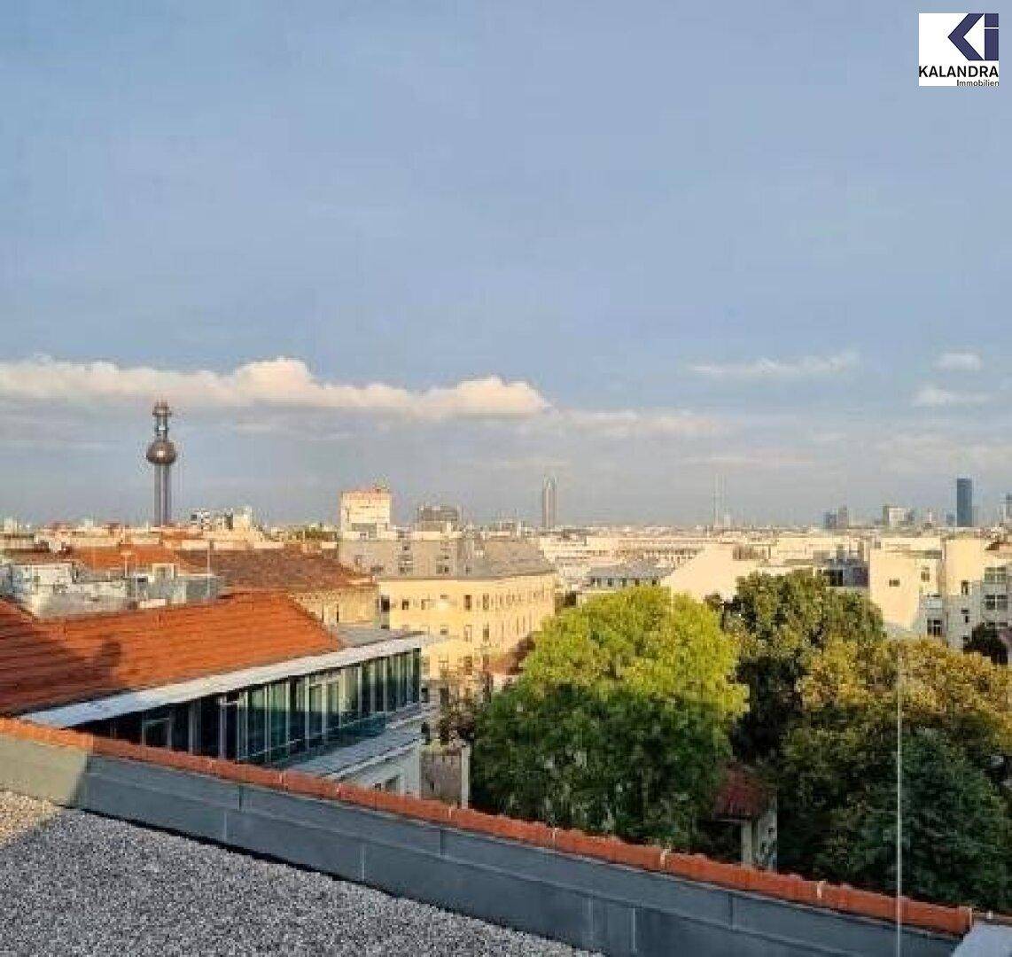 Fernblick_2