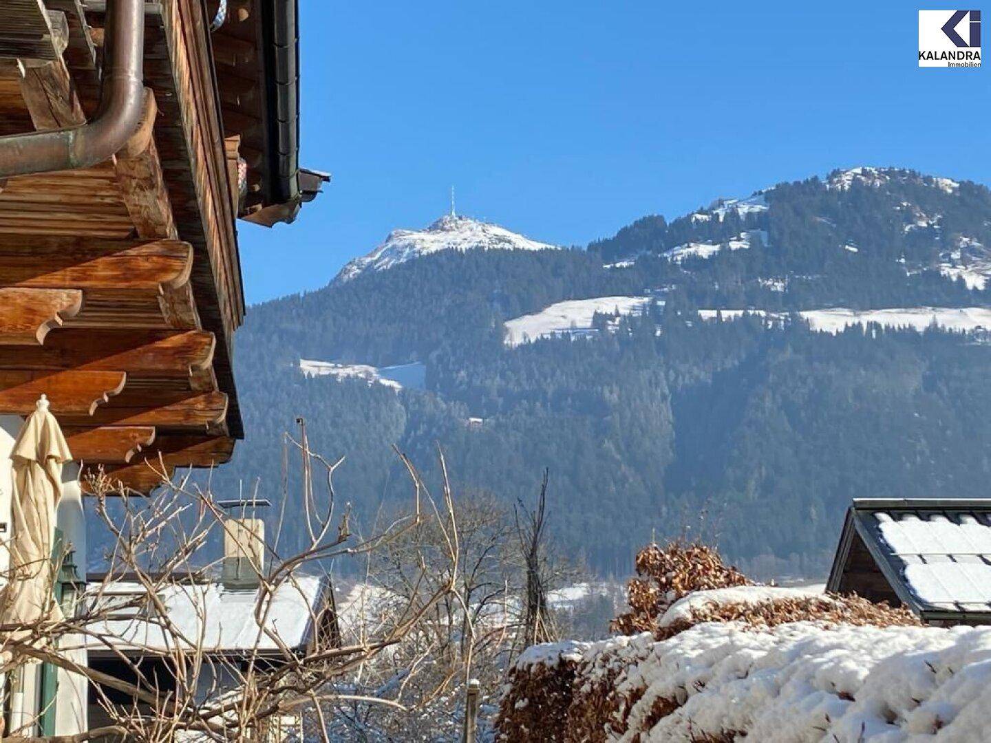 Blick 1