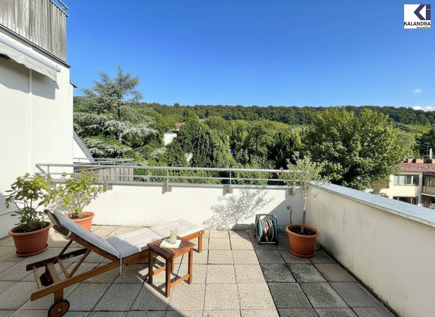 Sonniger Terrassenbereich mit Liegestuhl und Pflanzen, ideal zum Entspannen im Freien.